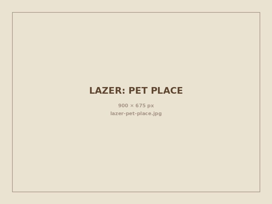 Pet place – perspectiva ilustrada do [NOME DO EMPREENDIMENTO]